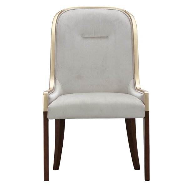 Houston Assmebled Side Chair - Image 2